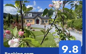Mon Petit Cottage - B&B And House In Bunclody