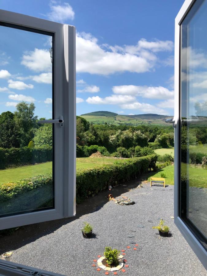 Mon Petit Cottage - B&B And House In Bunclody Exterior photo