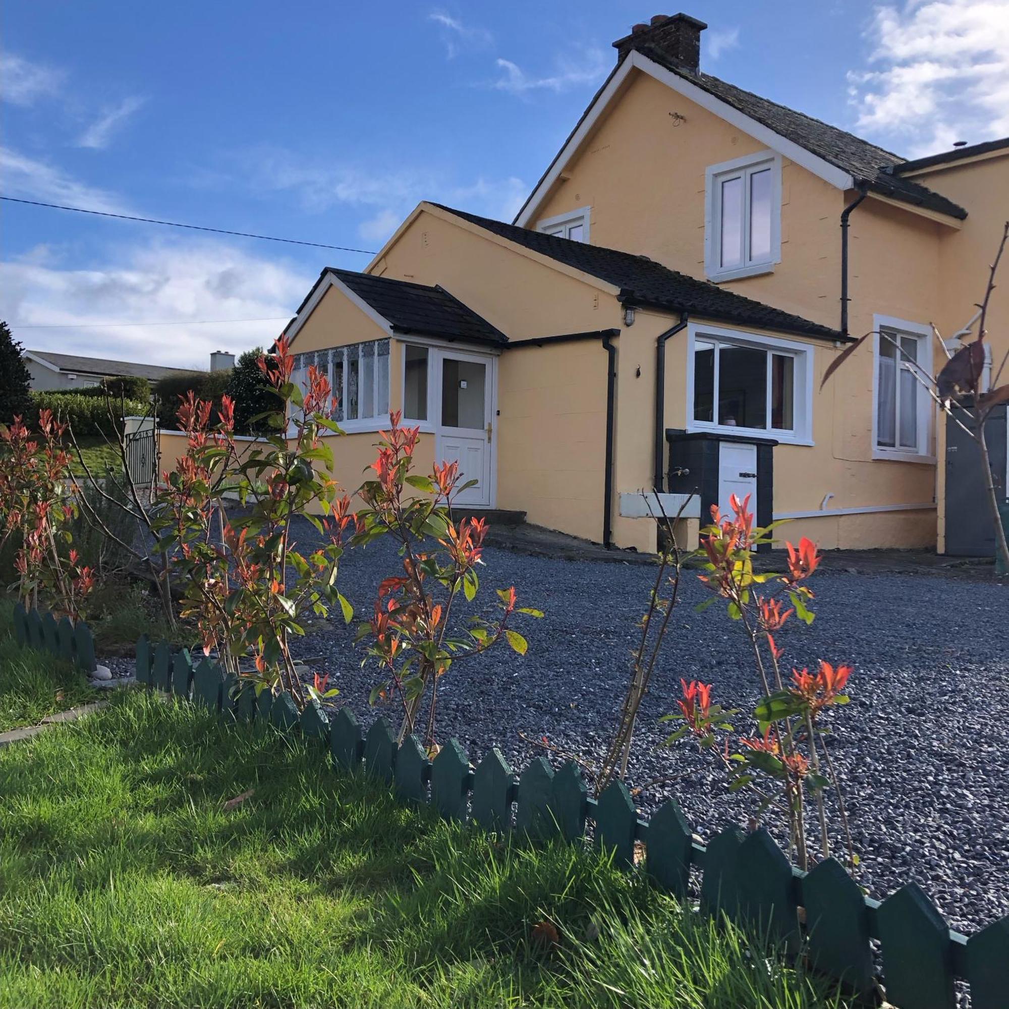 Mon Petit Cottage - B&B And House In Bunclody Exterior photo